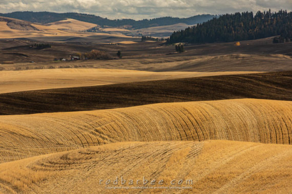 View from Clear Creek Road near Pullman, WA