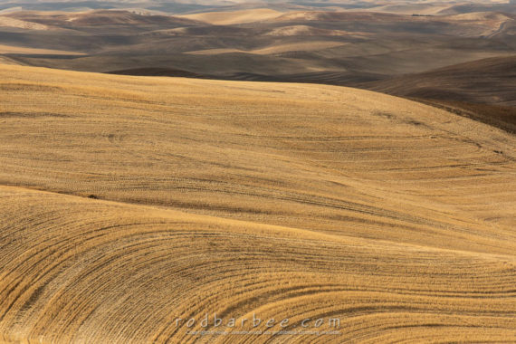 View from Clear Creek Road near Pullman, WA
