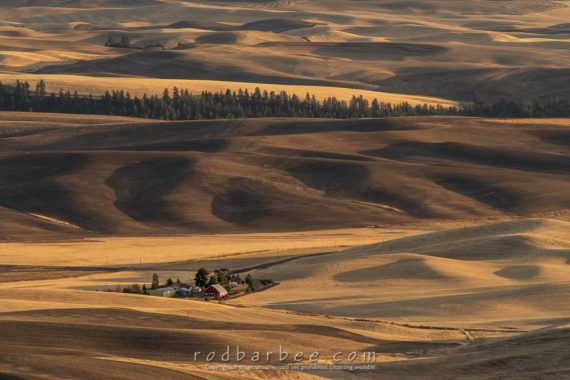 Late afternoon view from Steptoe Butte in the autumn