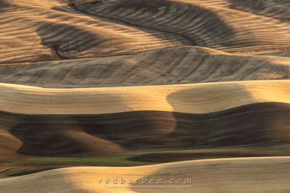Late afternoon view from Steptoe Butte in the autumn