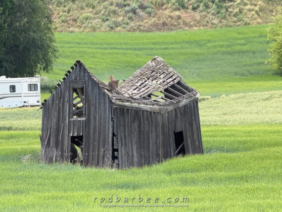 Last surviving building from the town of Wilcox. June 2026.