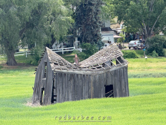 Last surviving building from the town of Wilcox. June 2026.