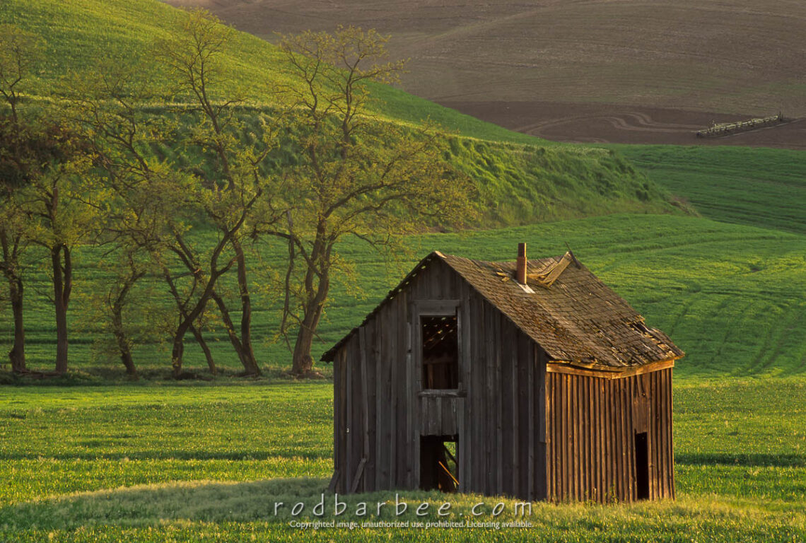 Last surviving building from the town of Wilcox. June 1996.