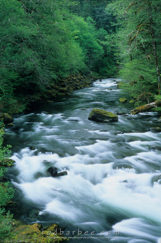Sol Duc River