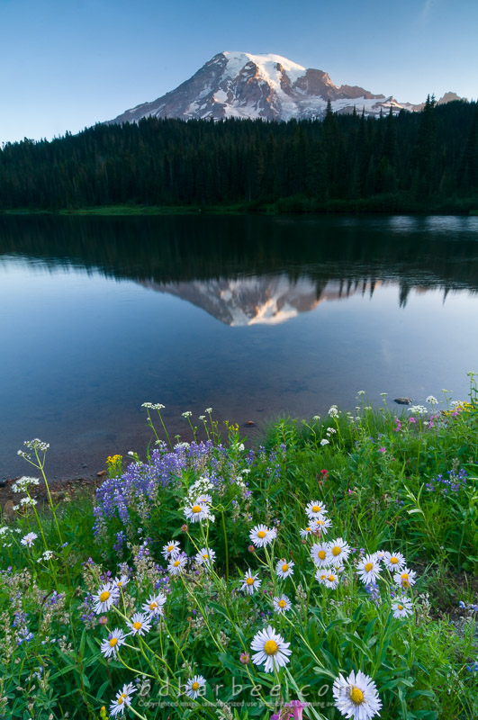 Barbee_090804_3_1761.jpg