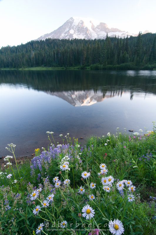 Barbee_090804_3_1762.jpg