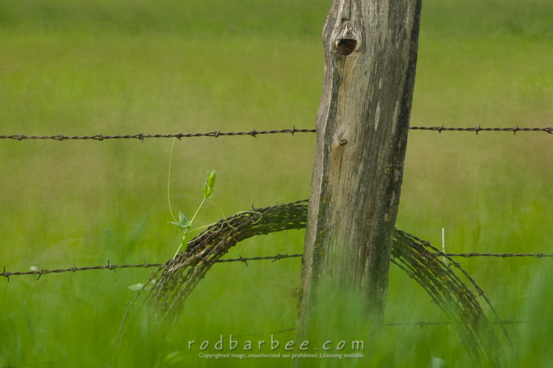 Barbee_090617_3_0817_v1.jpg