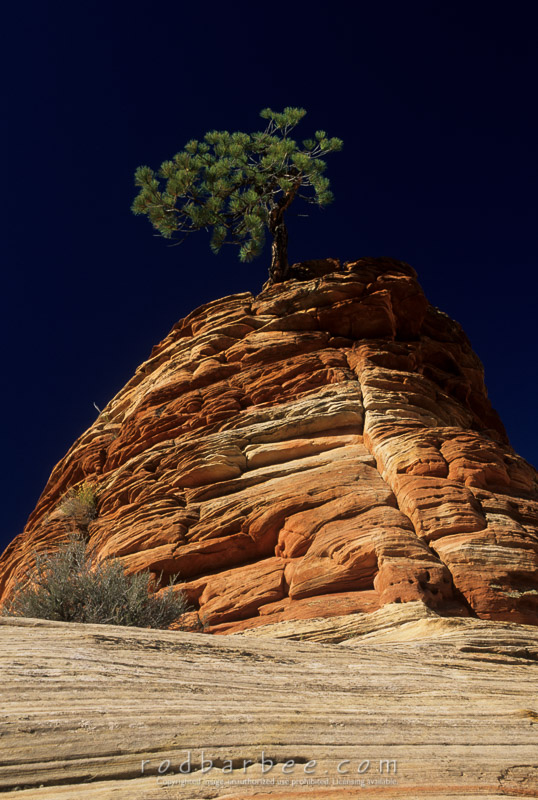 Barbee_13876.jpg