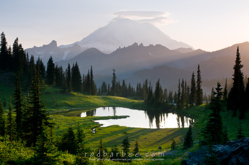 Barbee_090804_3_1851.jpg